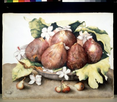 Onbekend schilderij door Giovanna Garzoni