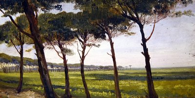 Een Rij Oude Pijnbomen door Giovanni Costa