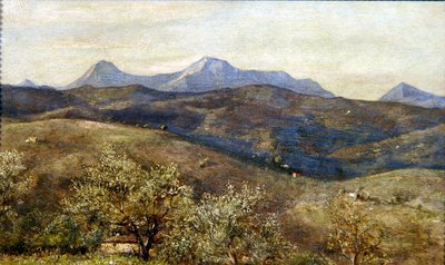 Landschap in de Lente met een Ver Uitzicht op Monte Catria: Vroege Ochtend door Giovanni Costa