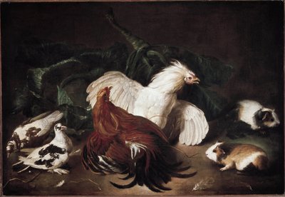Stilleven met dieren, kippen en hamsters door Giovanni Agostino Cassana