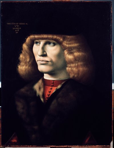 Portret van een jonge man, circa 1495 door Giovanni Ambrogio de Predis