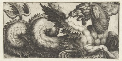 Gevleugelde zeehond die achterom kijkt door Giovanni Andrea Maglioli
