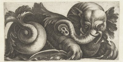 Zee-olifant met oren van bladeren door Giovanni Andrea Maglioli