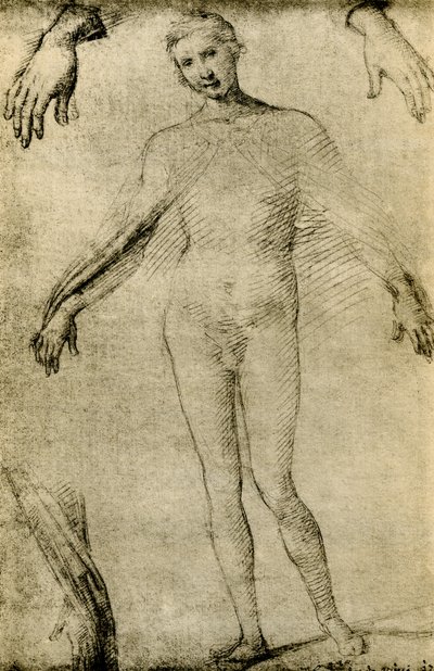 Modelstudie voor een Maagd Maria als mater misericordiae door Giovanni Antonio Bazzi Sodoma