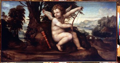 Landschap met Cupido. door Giovanni Antonio Bazzi Sodoma