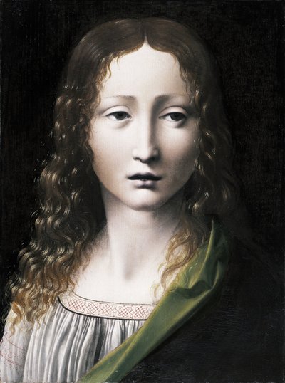 El Salvador Adolescente door Giovanni Antonio Boltraffio