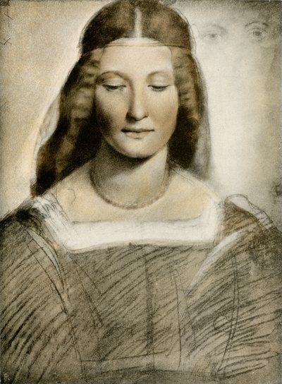 Vrouwelijk portret door Giovanni Antonio Boltraffio