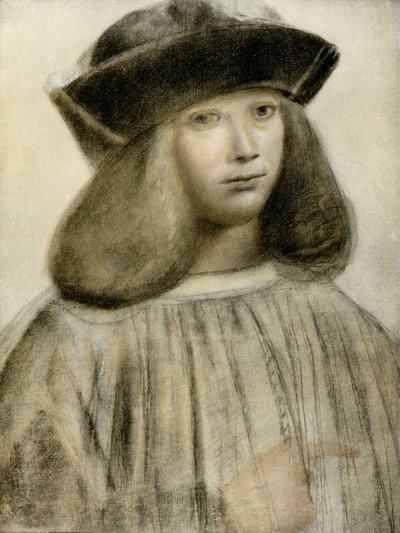 Portret van een man door Giovanni Antonio Boltraffio