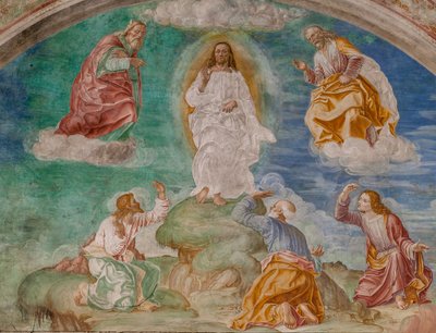 De Transfiguratie van Christus, c.1529 door Giovanni Antonio Pordenone