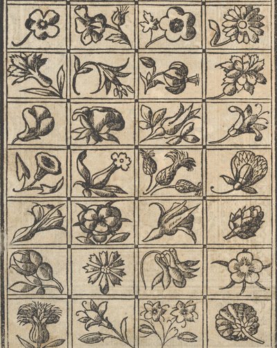 Essempio di recammi, pagina 10 verso door Giovanni Antonio Tagliente