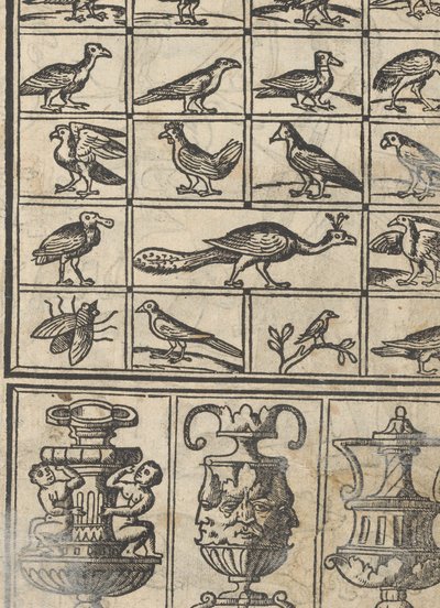 Essempio di recammi, pagina 12 recto door Giovanni Antonio Tagliente