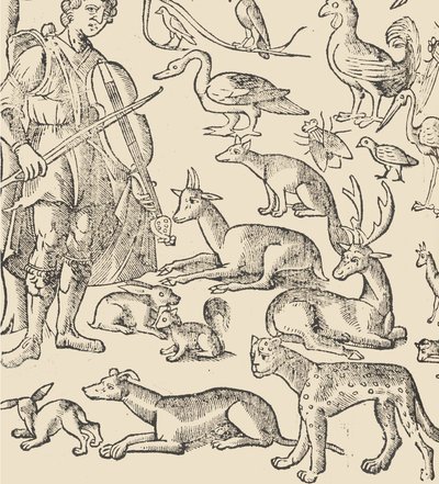 Essempio di recammi, pagina 12 verso door Giovanni Antonio Tagliente