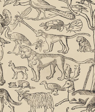 Essempio di recammi, pagina 13 recto, 1530 door Giovanni Antonio Tagliente