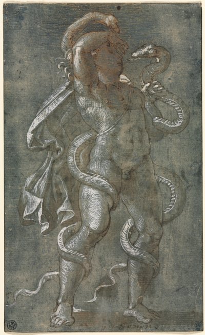 Man verstrengeld door twee slangen, ca. 1527 door Giovanni Antonio da Pordenone