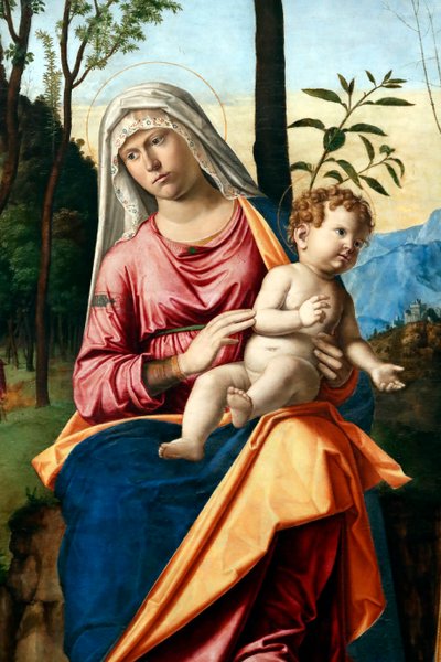 Maagd en kind met heiligen Hiëronymus en Lodewijk van Toulouse door Giovanni Battista Cima da Conegliano