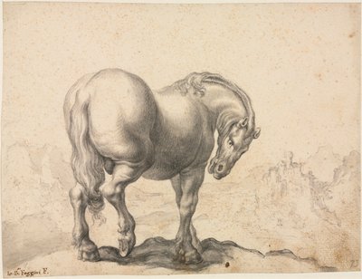 Studie van een Hengst door Giovanni Battista Foggini