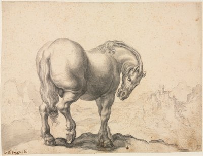 Studie van een hengst, eerste derde 18e eeuw door Giovanni Battista Foggini