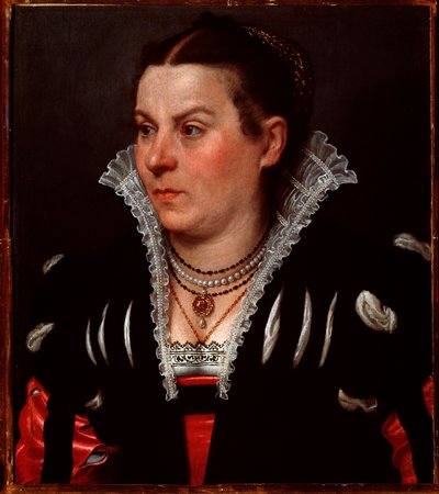 Portret van een rijke dame door Giovanni Battista Moroni
