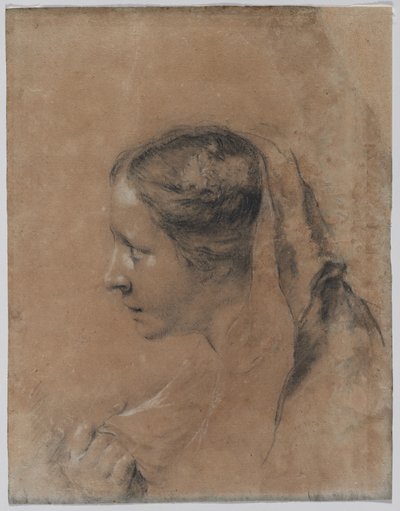 Hoofd van een vrouw in profiel met een sjaal door Giovanni Battista Piazzetta
