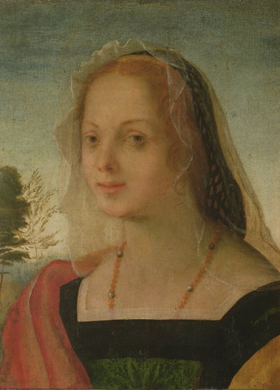 Portret van een jong meisje door Giovanni Battista Rosso Fiorentino