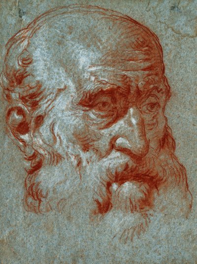Hoofd van een Venetiaanse patriciër, driekwart gezicht door Giovanni Battista Tiepolo