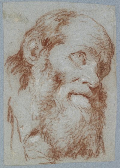 Hoofd van een Oude Man met Baard door Giovanni Battista Tiepolo