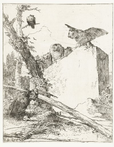 Titelprent voor Scherzi di fantasia met uilen bij een steen door Giovanni Battista Tiepolo