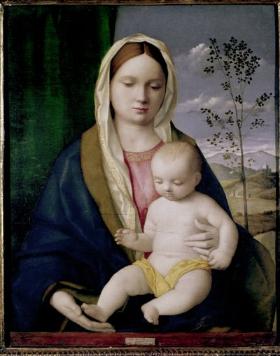 Madonna en Kind door Giovanni Bellini
