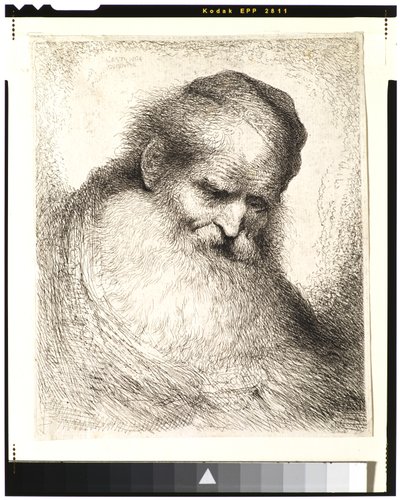 Bejaarde man met baard, hoofd naar voren gebogen, met een schedelkap, naar rechts kijkend door Giovanni Benedetto Castiglione