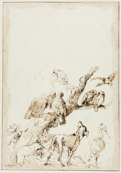 Vogels en dieren rond een dode boom door Giovanni Benedetto Castiglione