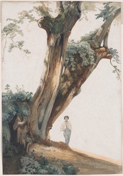 Oude bomen in de Romeinse Campagna door Giovanni Costa