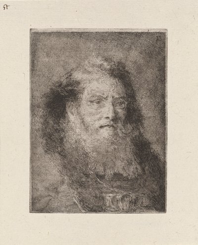 Oude man met kaal hoofd, uit de Raccolta di Teste (Collectie van Hoofden) door Giovanni Domenico Tiepolo