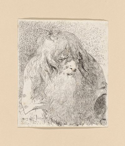 Oude man met een baard en lang haar, uit de Raccolta di Teste (Collectie van Hoofden) door Giovanni Domenico Tiepolo