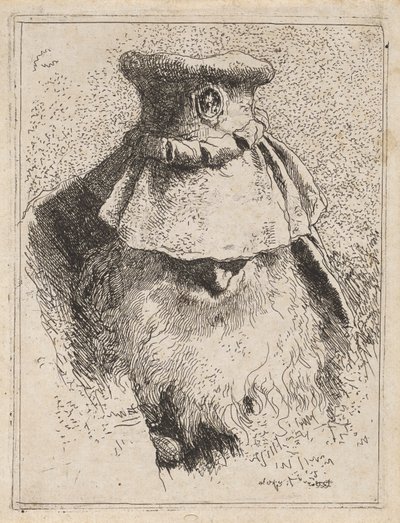 Oude man met een grote hoed, uit de Raccolta di Teste (Collectie van Hoofden) door Giovanni Domenico Tiepolo