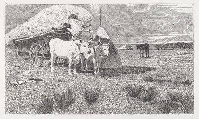 Ossen aan de Kar (Maremma) door Giovanni Fattori