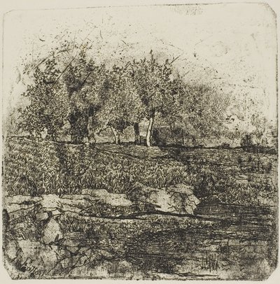 Bomen in een weiland door Giovanni Fattori