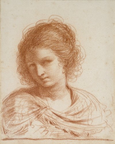 Hoofd van een jonge vrouw, 1650 - 1666 door Giovanni Francesco Barbieri