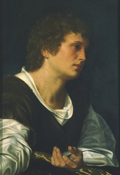 St. Johannes de Evangelist door Giovanni Girolamo Savoldo