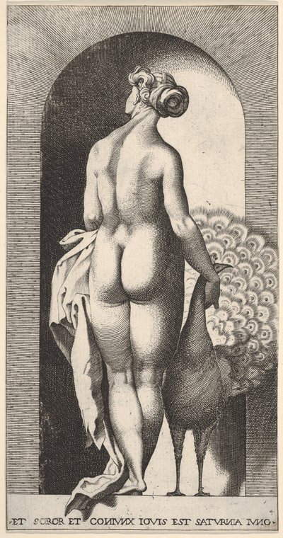 Plaat 4: Juno staand in een nis, van achteren gezien, een pauw strelen aan haar rechterkant, fr..., 1526 door Giovanni Jacopo Caraglio