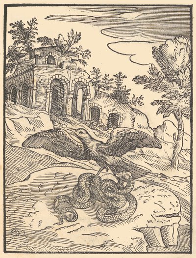Vogel en slang door Giovanni Maria Verdizotti