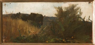 Studie van vegetatie door Giovanni Muzzioli