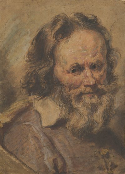 Hoofd van een bebaarde man, 1600-1630 door Giovanni Serodine
