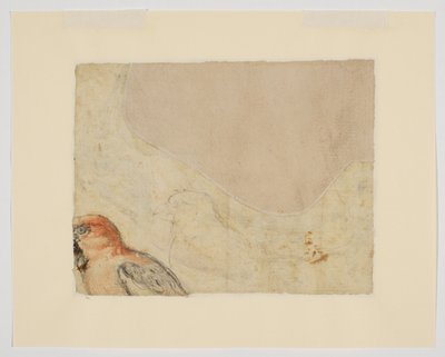 Vogelstudie, verso (krijt op papier) door Giovanni da Udine (after)