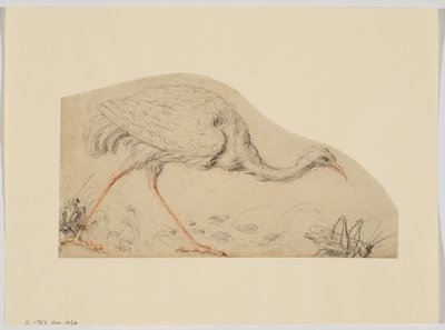 Struisvogel en sprinkhaan door Giovanni da Udine (after)