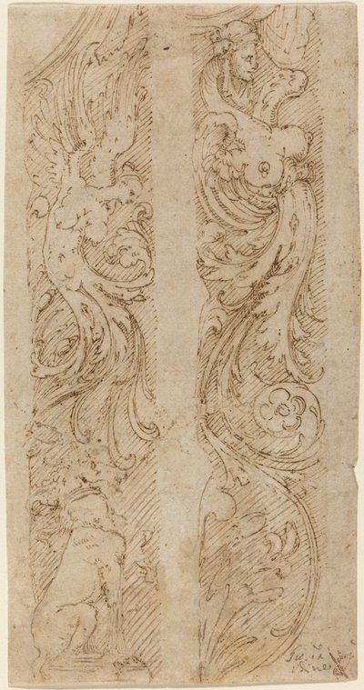 Grote Decoraties voor Muurpanelen door Giovanni da Udine