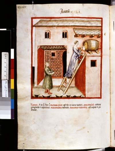 Theatrum sanitatis door Ububchasym de Baldach: 