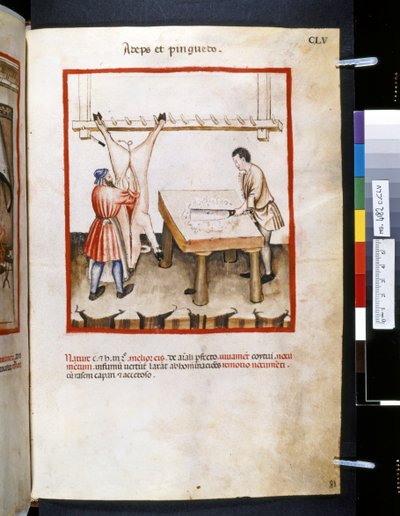 Theatrum sanitatis door Ububchasym de Baldach: 