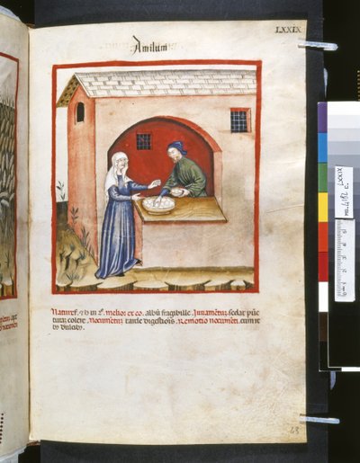 Theatrum sanitatis door Ububchasym de Baldach: 