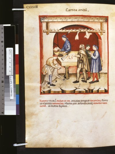 Theatrum sanitatis door Ububchasym de Baldach: 