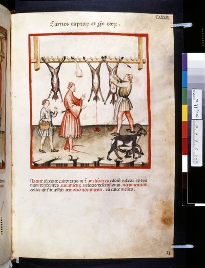 Theatrum sanitatis door Ububchasym de Baldach: 